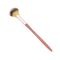 Cent Pur Cent 5 Small Fan Brush