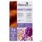 Flowertint Blond Cuivre 7.4 140ml