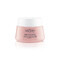 Vichy Neovadiol Rose Platinium Nuit 50ml