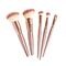 Cent Pur Cent Clutch met Luxe Brushset