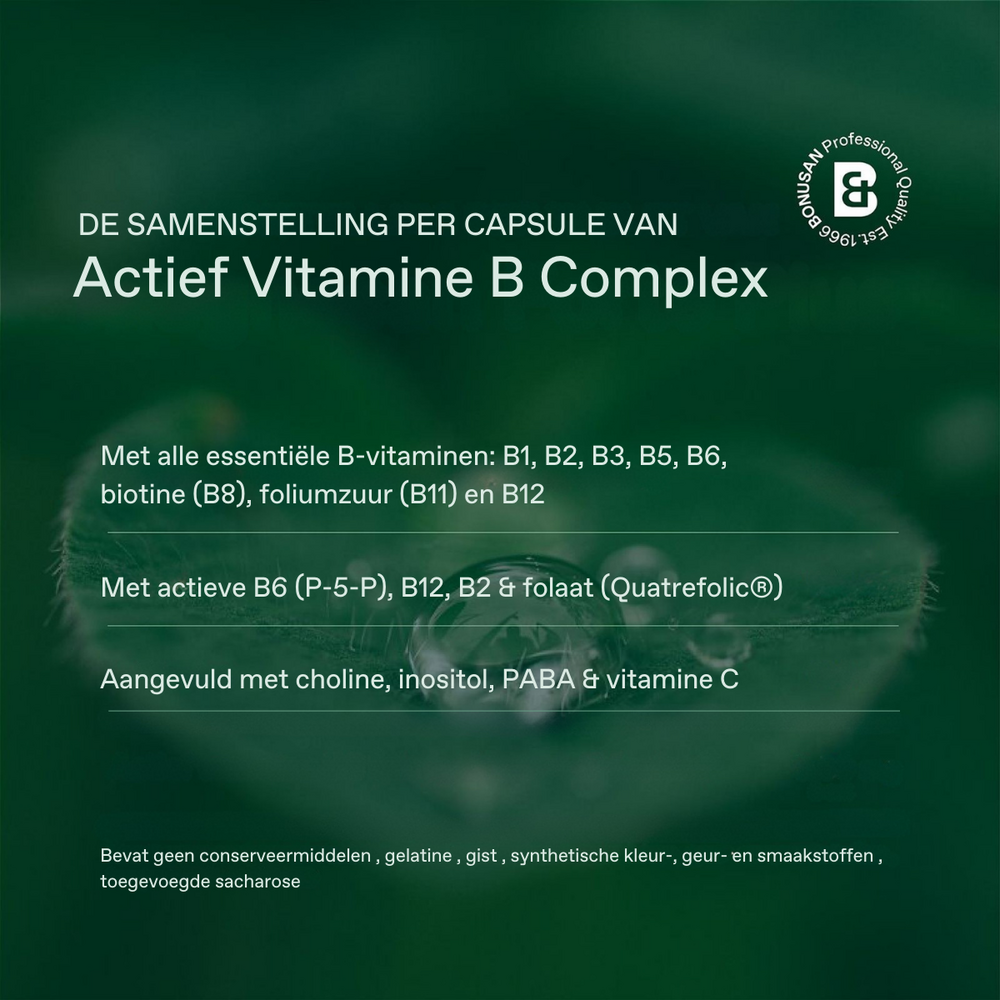 Actief Vitamine B Complex Caps 60 Bonusan
