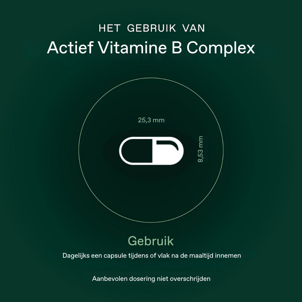 Actief Vitamine B Complex Caps 60 Bonusan