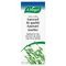 A.Vogel Avena Sativa Sommeil Qualitatif 100ml