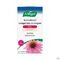 A.Vogel Echinaforce Comprimés à Croquer Forte + Vitamine C 60 Pièces
