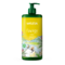 Weleda Energy Gel Douche Gingembre Fl 750ml