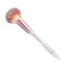Cent Pur Cent Blushlighter Brush