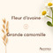 Aveeno Calm+Restore Lotion Hydratante Spf50 50ml
