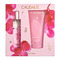 Caudalie Coffret Noël Rose Vigne 2025 2 Produits